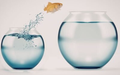 Cómo reinventarse profesionalmente después de los 40 sin empezar de cero